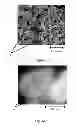 Fig. 08 - Antimicrobial Composite Material