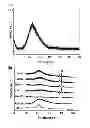 Fig. 06 - PREPARATION METHOD OF AN IMPLANT COMPRISING DRUG DELIVERY LAYER AND IMPLANT COMPOSITION FOR LIVING DONOR TRANSPLANTATION COMPRISING THE SAME