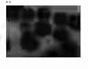 Fig. 09 - PREPARATION METHOD OF AN IMPLANT COMPRISING DRUG DELIVERY LAYER AND IMPLANT COMPOSITION FOR LIVING DONOR TRANSPLANTATION COMPRISING THE SAME
