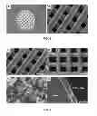 Fig. 02 - SURFACE FUNCTIONAL BIOACTIVE GLASS SCAFFOLD FOR BONE REGENERATION