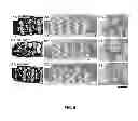 Fig. 07 - SURFACE FUNCTIONAL BIOACTIVE GLASS SCAFFOLD FOR BONE REGENERATION
