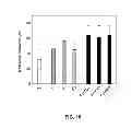 Fig. 08 - SURFACE FUNCTIONAL BIOACTIVE GLASS SCAFFOLD FOR BONE REGENERATION