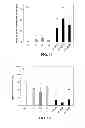 Fig. 09 - SURFACE FUNCTIONAL BIOACTIVE GLASS SCAFFOLD FOR BONE REGENERATION