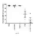 Fig. 06 - CERAMIDE ANIONIC LIPOSOME COMPOSITIONS
