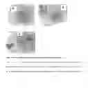 Fig. 09 - MULTILAYERED POLYELECTROLYTE-BASED CAPSULES FOR CELL ENCAPSULATION AND DELIVERY OF THERAPEUTIC COMPOSITIONS