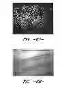 Fig. 07 - Extruder and method for producing high fiber density resin structures