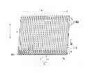Fig. 01 - METALLIC FINE STRUCTURE AND PROCESSING METHOD THEREOF