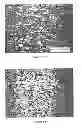Fig. 02 - HIGH GRADE TITANIUM ALLOY SHEET AND METHOD OF MAKING SAME