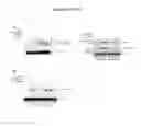 Fig. 06 - Targeting c-Rel O-GlcNAcylation and uses thereof