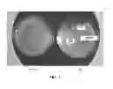 Fig. 02 - Solid medium for the storage of biological material