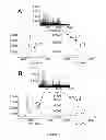 Fig. 02 - Screening for protein variants using mass spectrometry