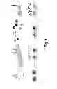 Fig. 02 - Microgels and microtissues for use in tissue engineering