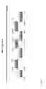 Fig. 06 - Two plasmid mammalian expression system