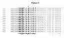 Fig. 02 - DNA polymerases with increased 3′-mismatch discrimination