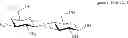 Fig. 47 - Diversification of human milk oligosaccharides (HMOs) or precursors thereof