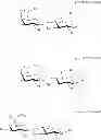 Fig. 48 - Diversification of human milk oligosaccharides (HMOs) or precursors thereof