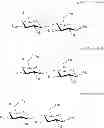 Fig. 79 - Diversification of human milk oligosaccharides (HMOs) or precursors thereof