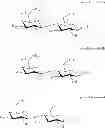 Fig. 80 - Diversification of human milk oligosaccharides (HMOs) or precursors thereof