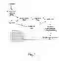 Fig. 02 - Dehydrogenase variants and polynucleotides encoding same