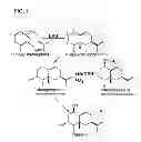Fig. 02 - CYTOCHROME P450S AND USES THEREOF