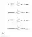 Fig. 02 - Production of volatile dienes by enzymatic dehydration of light alkenols