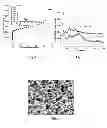 Fig. 04 - MOF-based hierarchical porous materials and methods for preparation