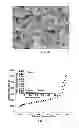 Fig. 06 - MOF-based hierarchical porous materials and methods for preparation