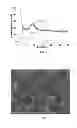 Fig. 07 - MOF-based hierarchical porous materials and methods for preparation