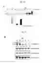 Fig. 02 - METHOD FOR PREPARING MICROVESICULAR ADAM15