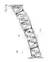 Fig. 06 - CONSTRUCTION MATERIAL MADE OF ALGAE AND METHOD FOR PRODUCING THEREOF