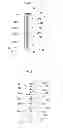 Fig. 08 - Living cell cryopreservation tool