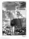 Fig. 06 - Isolated adult pluripotent stem cells and methods for isolating and cultivating thereof