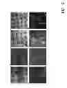 Fig. 09 - Microfabricated polymeric vessel mimetics