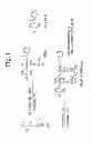 Fig. 02 - Temperature-responsive substrate for cell culture and production method thereof