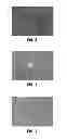 Fig. 08 - Cell culture membrane, cell culture substrate, and method for manufacturing cell culture substrate