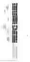 Fig. 04 - Recombinant microorganisms comprising NADPH dependent enzymes and methods of production therefor