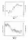 Fig. 06 - PHENYTOIN BIOSENSOR AND METHOD FOR MEASURING CONCENTRATION OF PHENYTOIN