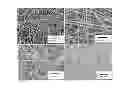 Fig. 01 - FAST RESPONSE NANOFIBER ARTICLES WITH TUNABLE WETTABILITY AND BULK PROPERTIES