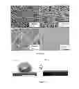 Fig. 05 - FAST RESPONSE NANOFIBER ARTICLES WITH TUNABLE WETTABILITY AND BULK PROPERTIES