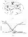 Fig. 02 - Adapting a triggering threshold for cell re-selection measurements