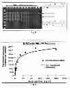 Fig. 02 - Application of reduced dyes in imaging