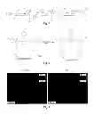 Fig. 05 - Application of reduced dyes in imaging