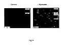 Fig. 07 - Application of reduced dyes in imaging