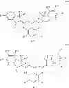 Fig. 18 - Application of reduced dyes in imaging