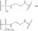 Fig. 49 - Cyclodextrin-Based Polymers for Therapeutic Delivery