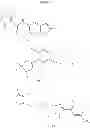 Fig. 110 - Compounds and methods for kinase modulation, and indications therefor