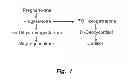 Fig. 02 - Methods of diagnosing and treating neonatal reversion to fetal consciousness