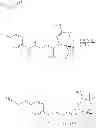 Fig. 167 - Fused multi-cyclic sulfone compounds as inhibitors of beta-secretase and methods of use thereof
