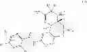 Fig. 216 - Fused multi-cyclic sulfone compounds as inhibitors of beta-secretase and methods of use thereof