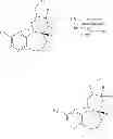 Fig. 76 - Fused multi-cyclic sulfone compounds as inhibitors of beta-secretase and methods of use thereof